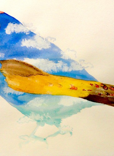 Gabor Breznay Skybird aquarelle sur papier 50x65cm 2014-BD