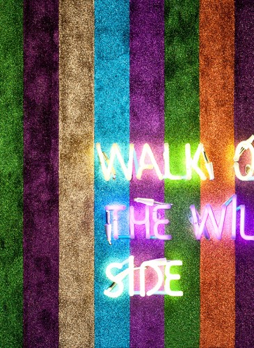 oeuvre 7 walk on the wild side Caroline Baup 3bd